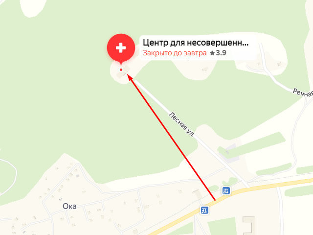 Государственное казенное учреждение социального обслуживания Московской области Каширский специализированный социально-реабилитационный центр для несовершеннолетних "Семья" в д. Лиды