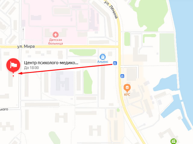 Магазин Детский Мир Чайковский