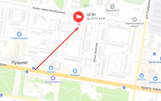 Соцзащита Пущино