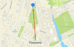 Соцзащита Пушкино