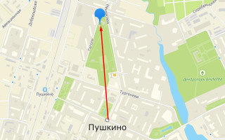 Соцзащита Пушкино