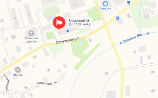 Соцзащита Визинги