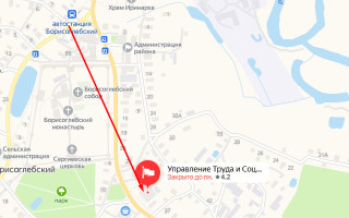 Соцзащита Борисоглебского