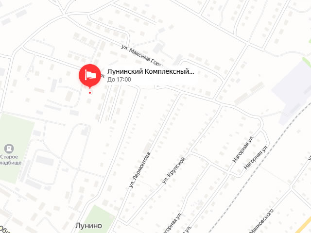 Лунинский комплексный центр социального обслуживания населения в п. Лунино на ул. Социальная
