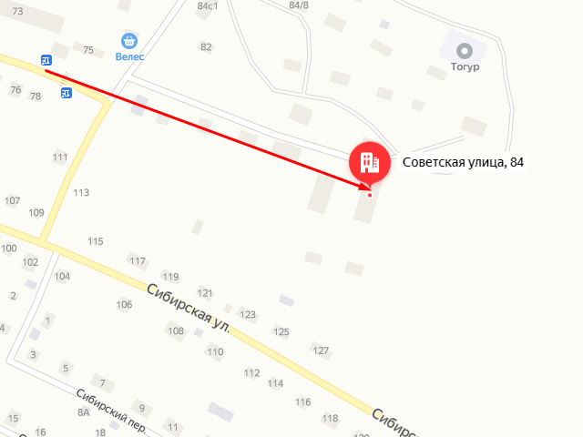 Центр помощи детям, оставшимся без попечения родителей, имени М.И.Никульшина в с. Тогур на ул. Советская